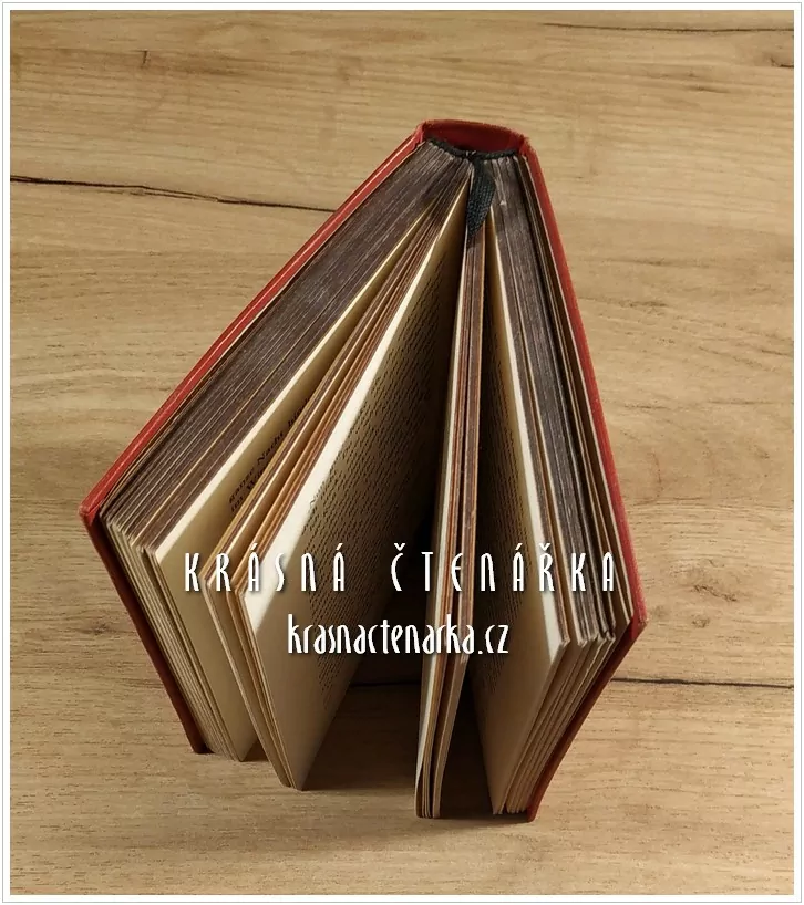 BUDJONNYS REITER ARMEE (Babel Isaak) (1. vydání)