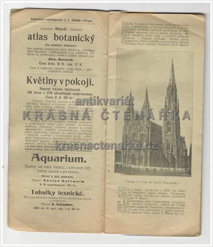 ILLUSTROVANÝ PRŮVODCE PO PRAZE (Hof J.)