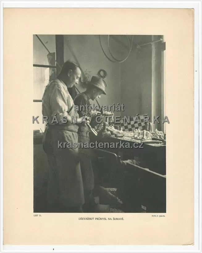 DŘEVAŘSKÝ PRŮMYSL NA ŠUMAVĚ