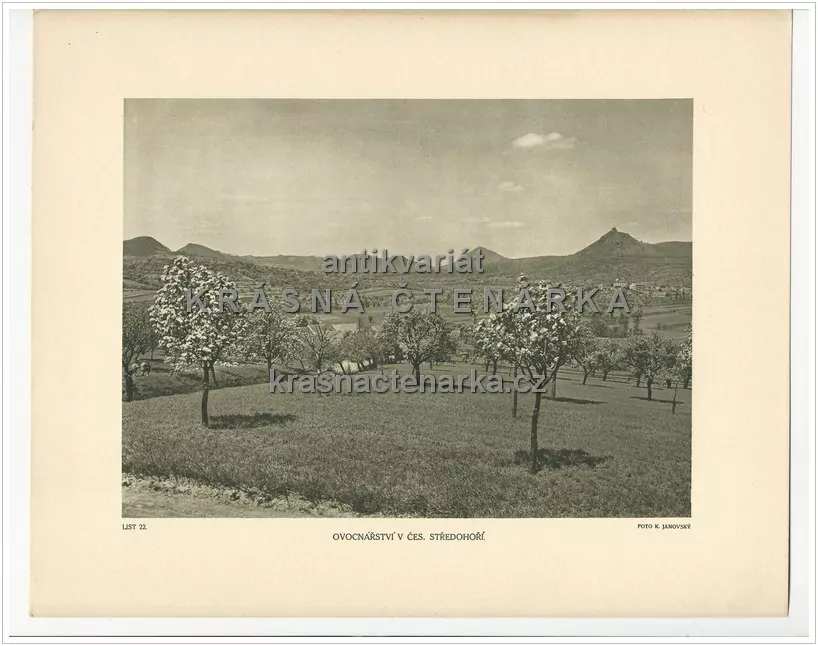 OVOCNÁŘSTVÍ V ČESKÉM STŘEDOHOŘÍ