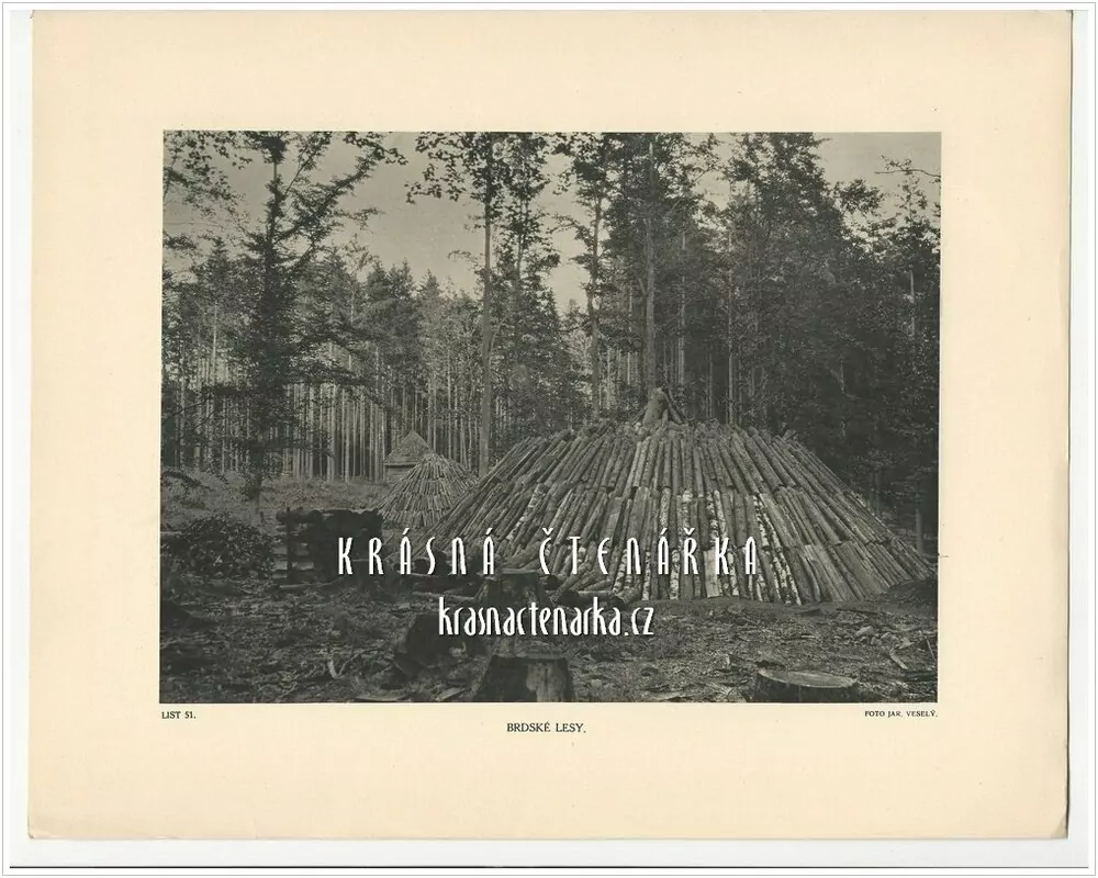 BRDSKÉ LESY (Milíře na dřevěné uhlí)