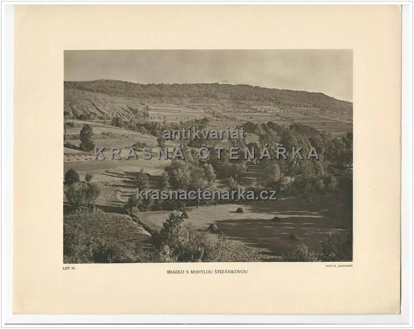 BRADLO S MOHYLOU ŠTEFÁNIKOVOU