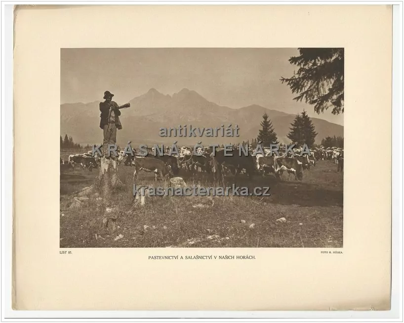 PASTEVNICTVÍ A SALAŠNICTVÍ V NAŠICH HORÁCH ... Tatry