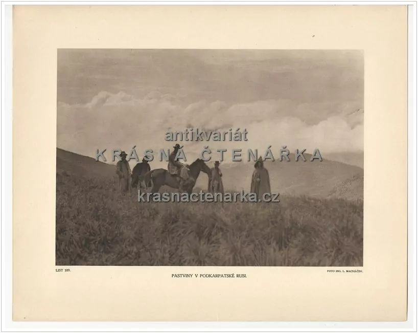PASTVINY V PODKARPATSKÉ RUSI