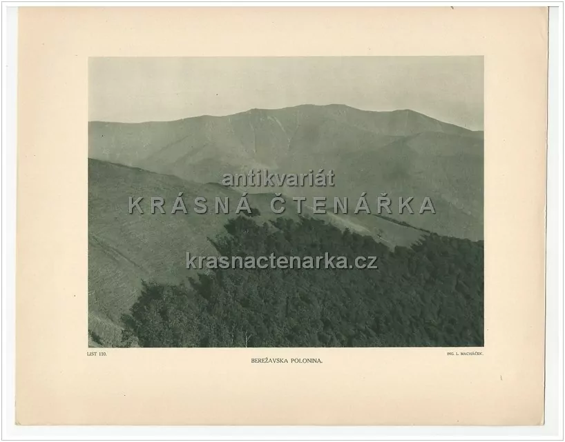 BEREŽAVSKÁ POLONINA (Boržava)