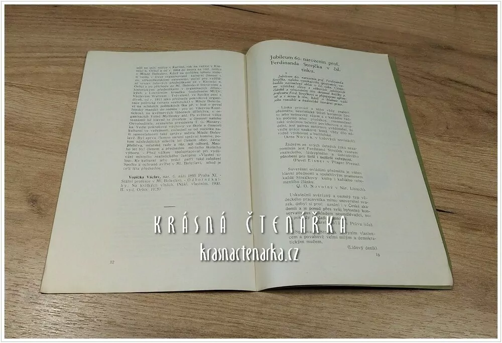 MLADOBOLESLAVŠTÍ SPISOVATELÉ, KULTURNÍ A VEŘEJNÍ PRACOVNÍCI (Frabša F. S.)