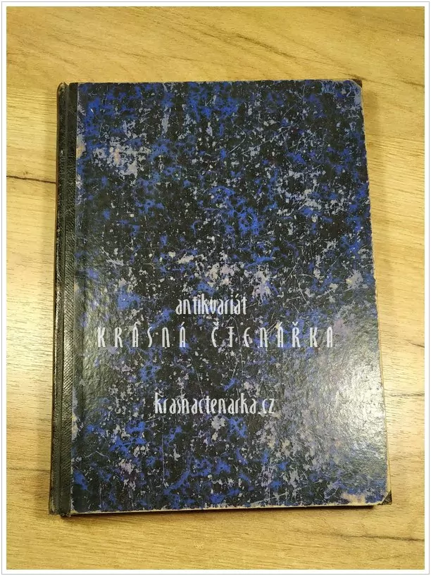 SONNTAGS-BLATT, Organ für die Freidenker Deutschlands 1877, 6. ročník