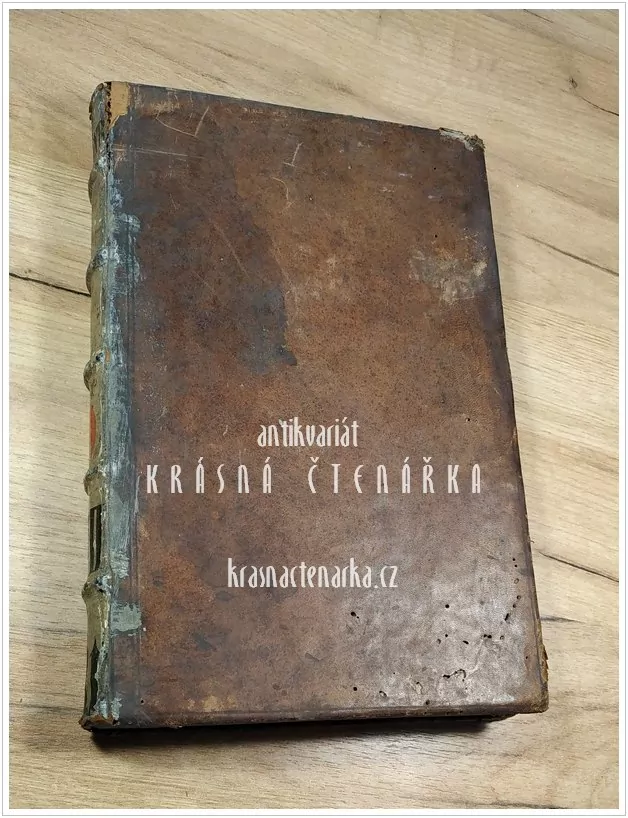 CONCIONATOR PANEGYRICO-MORALIS (Mayr Victurus)