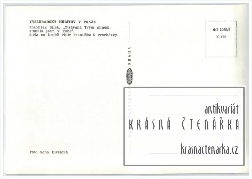 PRAHA, Vyšehradský hřbitov, František Bílek (fot. Divišová Soňa)