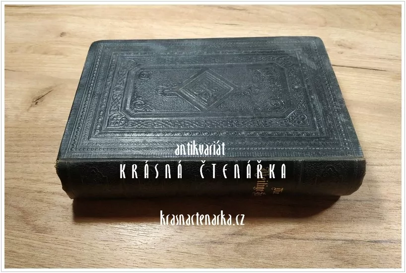 DIE BIBEL OBER DIE GANZE HEILIGE SCHRIFT DES ALTEN UN NEUEN TESTAMENTS  (překlad Luther Martin, 1893)