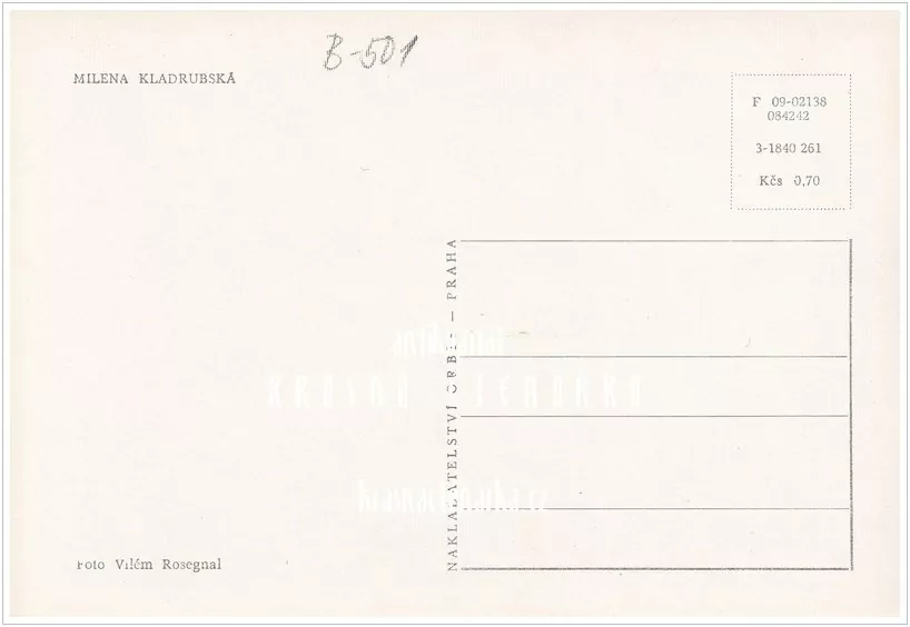 MILENA KLADRUBSKÁ (fot. Rosegnal Vilém)