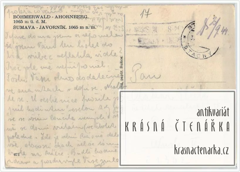 JAVORNÍK, Klostermannova rozhledna i s lyžaři