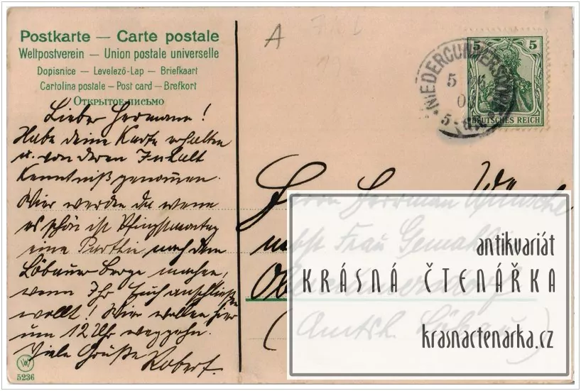 KRAJINA s břízami (il. Mailick)