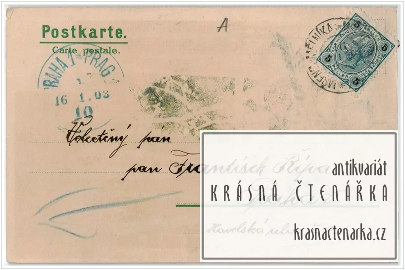 KRAJINA s břízami (il. Mailick)