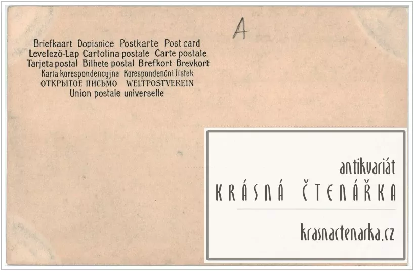 KRAJINA s březovou alejí