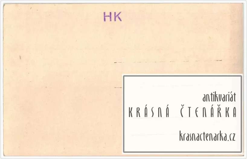 LIBEREC, Radnice a náměstí, pohled shora