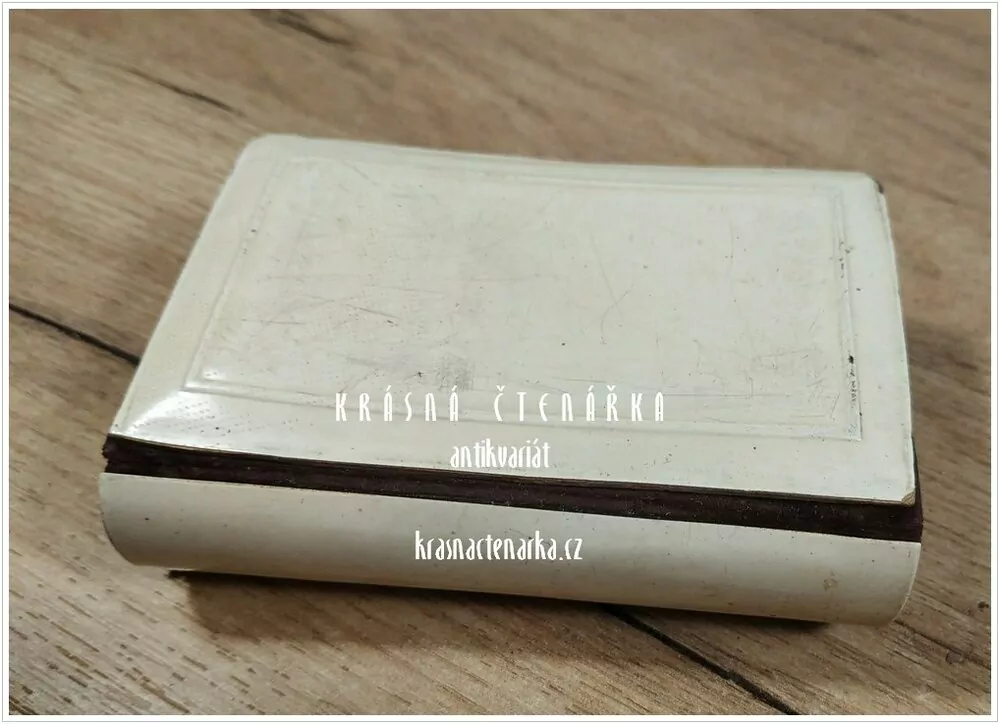 AVE MARIA ! (Modlitební kniha)