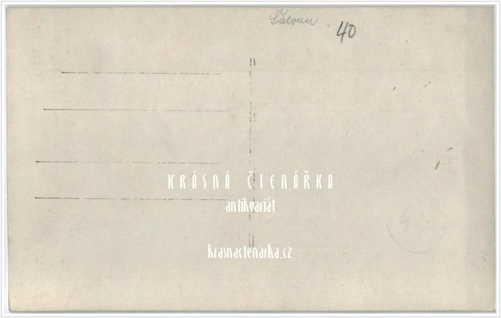 HOŘICE (galerie plastik ve Smetanových sadech, "Krakonoš")