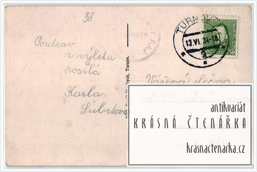 Zřícenina hradu TROSKY