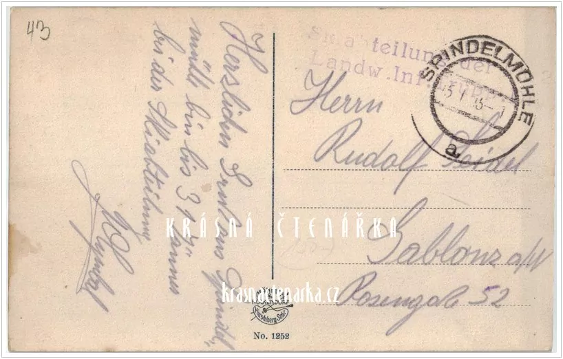 KRKONOŠE, Zimní sporty