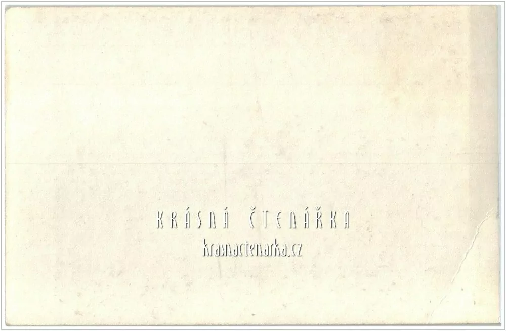 LIBEREC s vánočním pozdravem