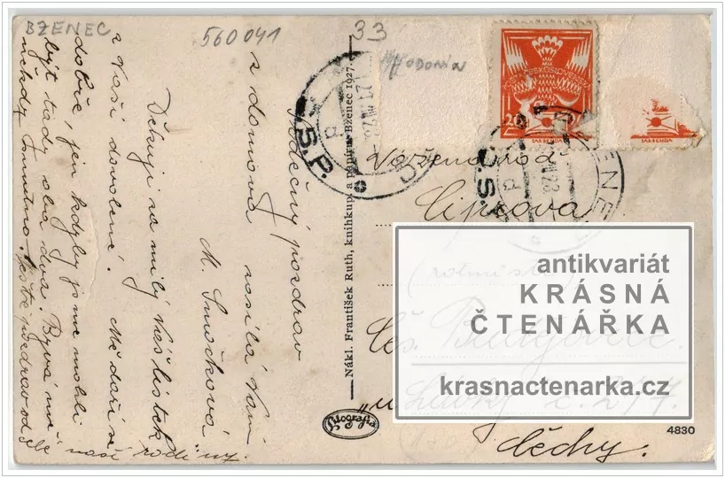 BZENEC, Lípa v zámeckém parku