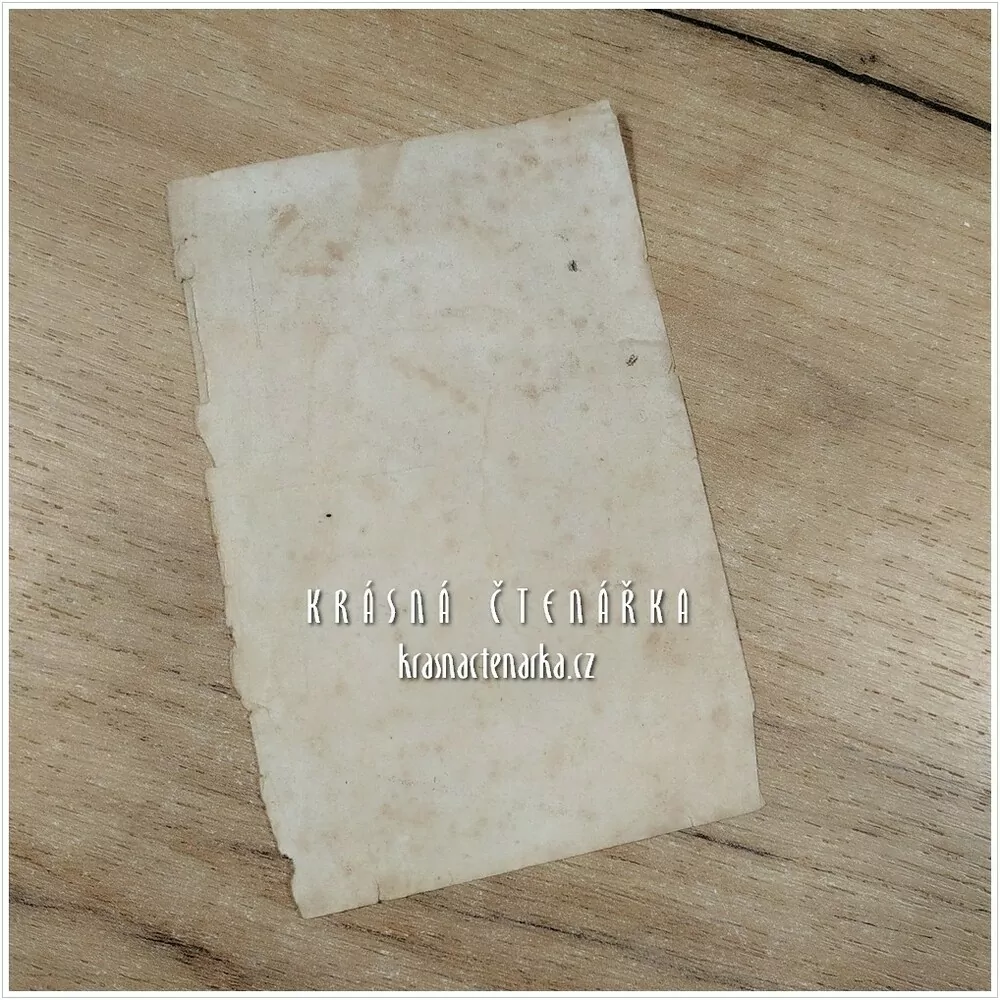 Náboženská ilustrace MARIA HILF