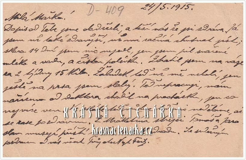 KORESPONDENČNÍ LÍSTEK pro paní Foitovou z Plzně-Lobzy, razítko STUDEIN (Studená)