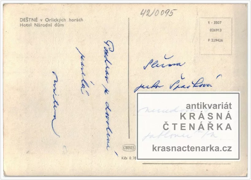 DEŠTNÉ V ORLICKÝCH HORÁCH, Hotel Národní dům i s lyžaři