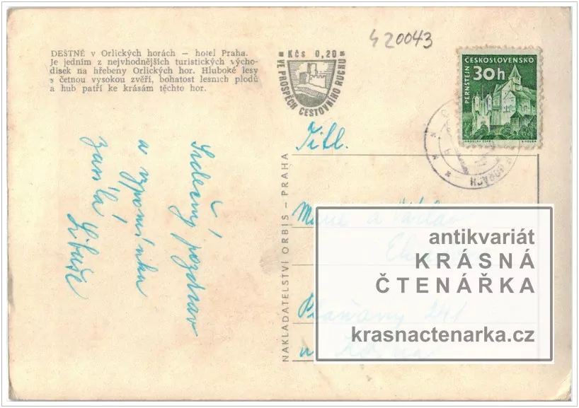 DEŠTNÉ V ORLICKÝCH HORÁCH, Hotel Praha