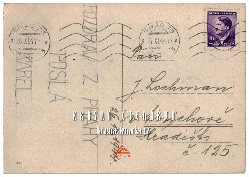 MEDVĚD v klobouku (il. Salač Ludvík Alois)