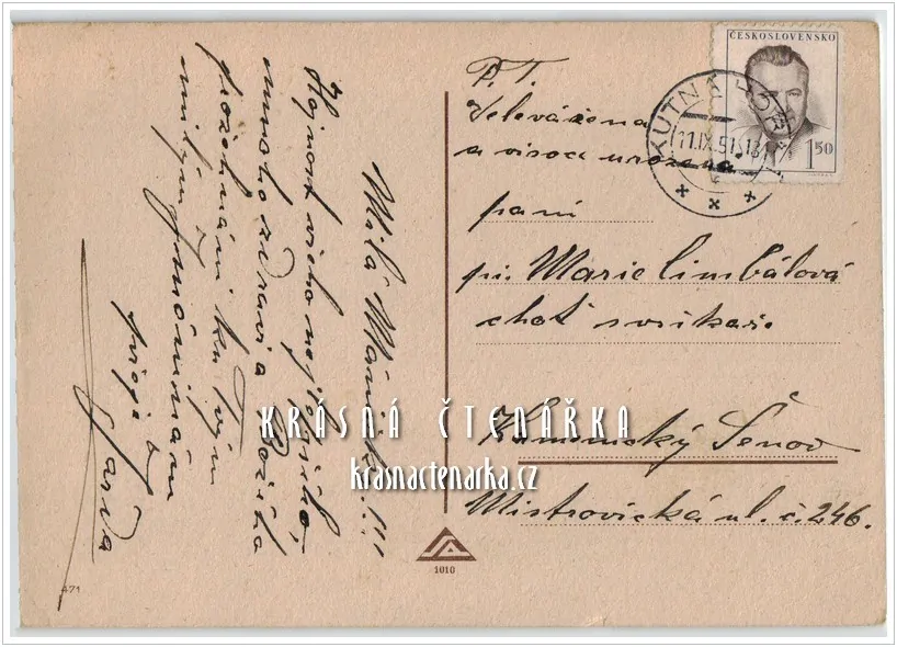 DĚTI a kaktus (il. Salač Ludvík Alois)