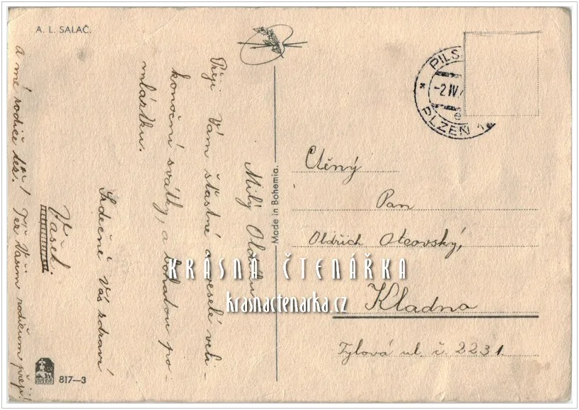 CHLAPEC v kroji (il. Salač Ludvík Alois)