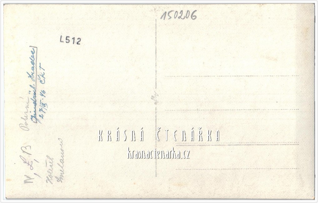 JINDŘICHŮV HRADEC a skupina turistů