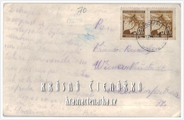 RAJNOCHOVICE, Ozdravovna