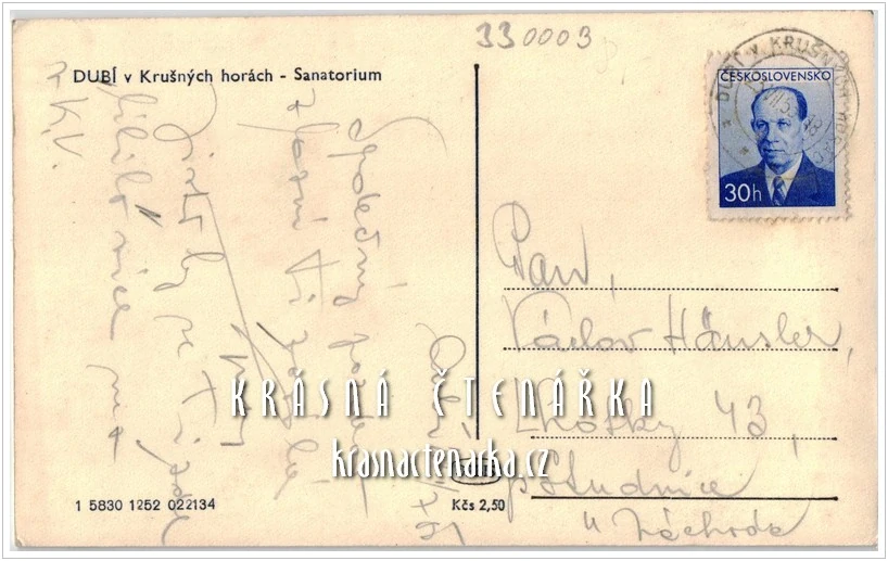 DUBÍ, Sanatorium, nyní Tereziny lázně i s lázeňskými hosty