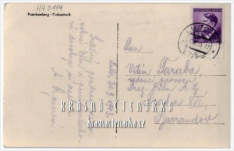 LUŽE - KOŠUMBERK, Zřícenina hradu Košumberk