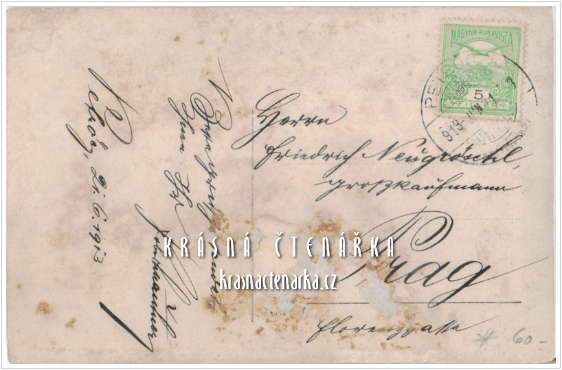 KOČÁR - KOŇSKÝ povoz - KONĚ