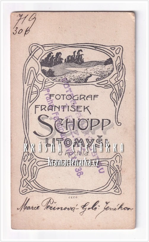 Fotografická vizitka: DŽENTLMEN (Atelier František Schöpp, Litomyšl)