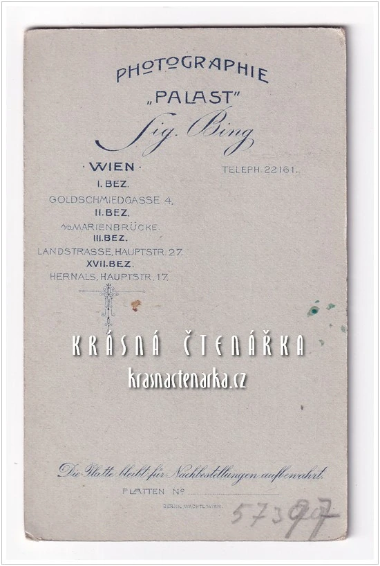 Fotografická vizitka: DŽENTLMEN (Atelier Sig. Bing, Vídeň)