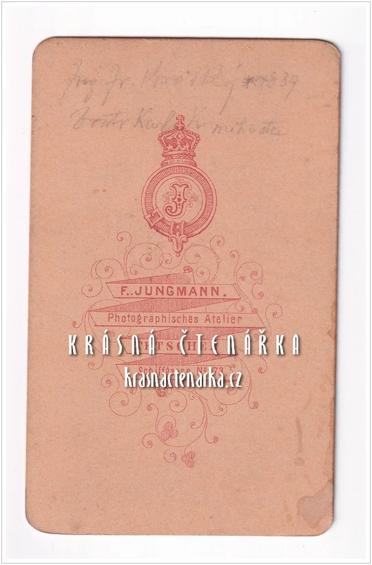 Fotografická vizitka: DŽENTLMEN s plnovousem (Atelier F. Jungmann, Děčín)