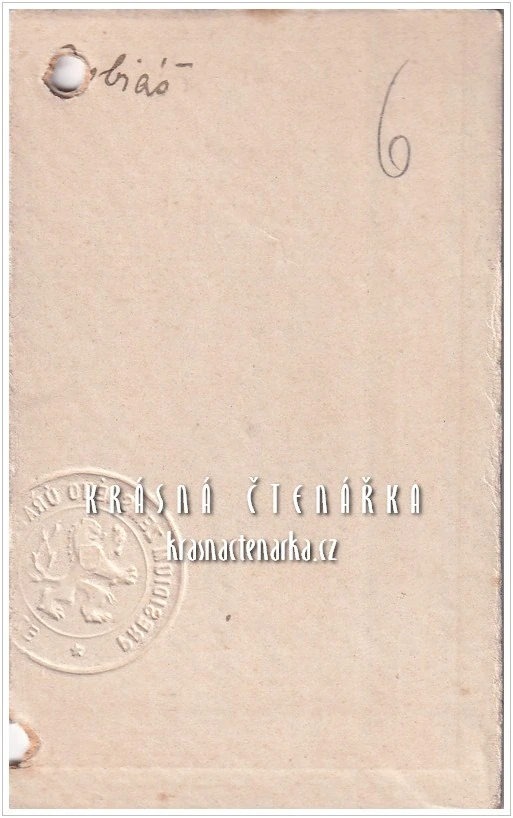 Fotografická vizitka: DŽENTLMEN s kravatou