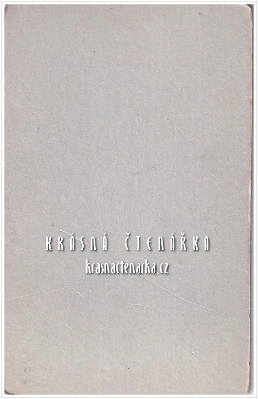 Fotografická vizitka: DŽENTLMEN s kravatou