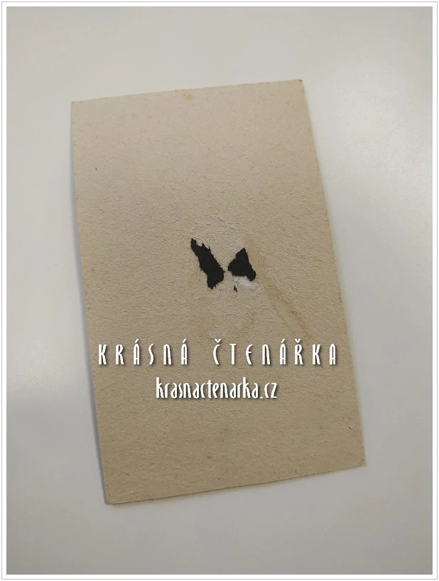 Fotografická vizitka: DŽENTLMEN (Atelier Josef Fiedler, Praha)