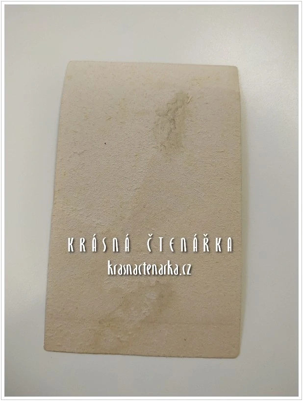 Fotografická vizitka: DŽENTLMEN TURISTA (Atelier Fridolin Arnold, Innsbruck)