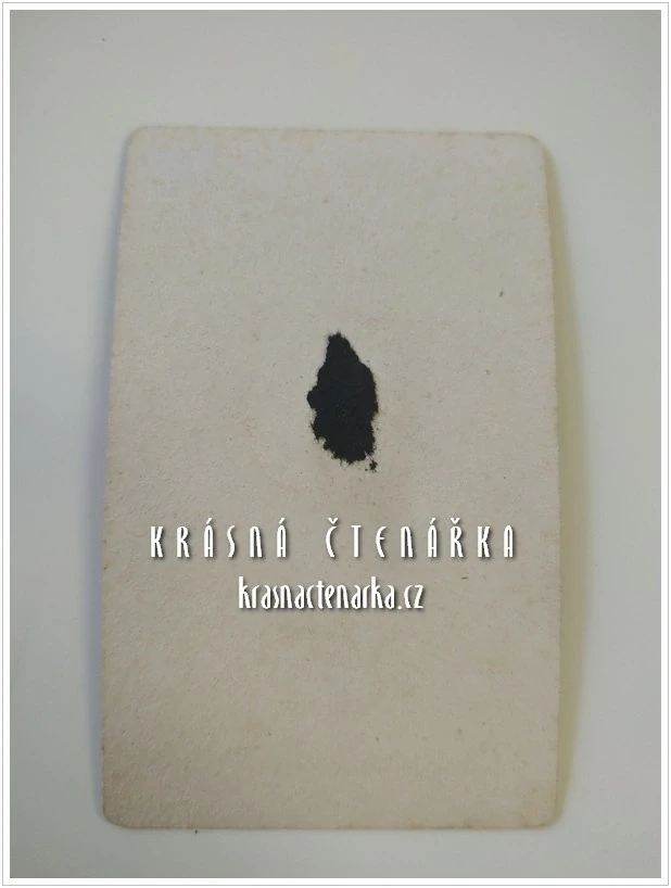 Fotografická vizitka: DŽENTLMEN (Atelier František Böger, Mladá Boleslav)