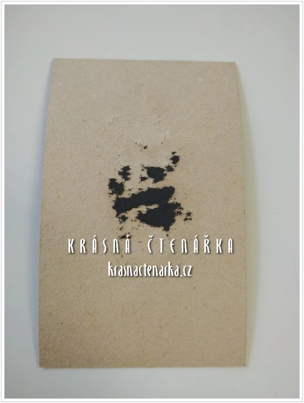 Fotografická vizitka: DŽENTLMEN (Atelier J. Dittrich, Kutná Hora)