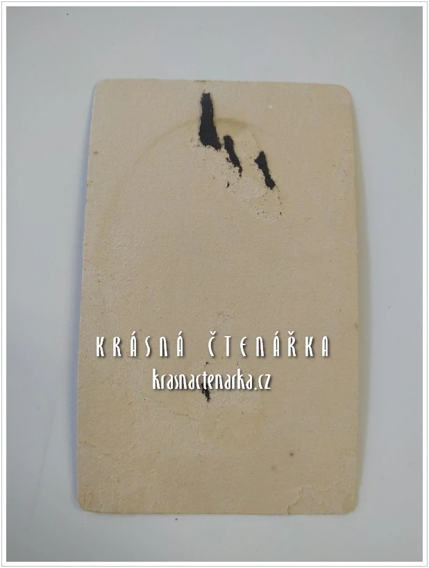 Fotografická vizitka: DŽENTLMEN (Atelier A. Hartmann, Kamenický Šenov)