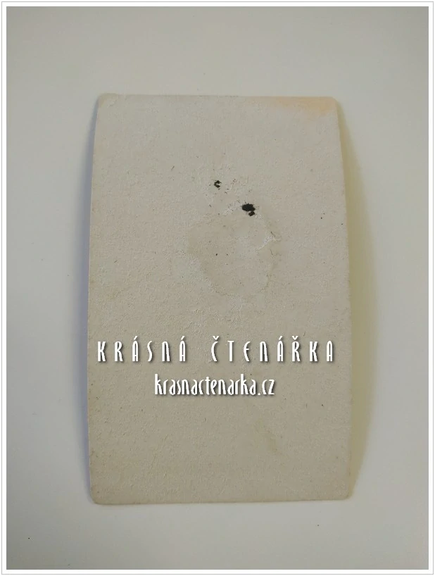 Fotografická vizitka: DŽENTLMEN (Atelier František Böger, Mladá Boleslav)