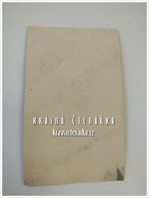 Fotografická vizitka: DŽENTLMEN (Atelier G. Hawlitschek, Nový Bor)